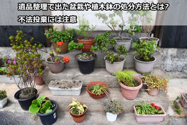 遺品整理で出た盆栽や植木鉢の処分方法とは?不法投棄には注意