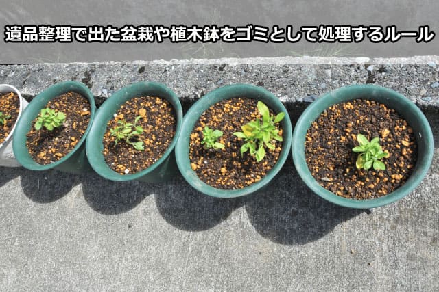 遺品整理で出た盆栽や植木鉢をゴミとして処理するルール