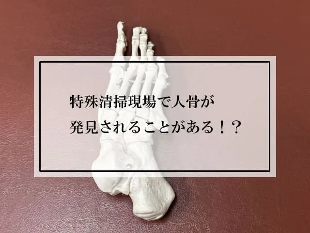 特殊清掃現場で人骨が発見されることがある！？