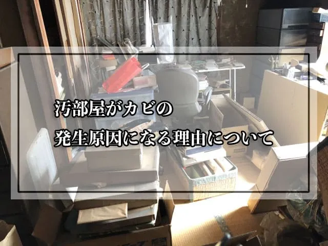 汚部屋がカビの発生原因になる理由