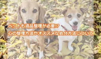 ペットも遺品整理が必要!?心の整理方法やオススメな処分方法について