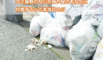 ゴミ屋敷の匂いが服や髪の毛などに付着するって本当なの!?