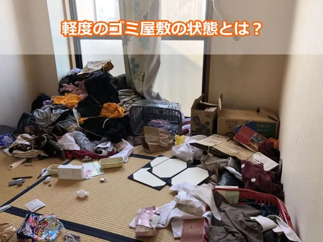 軽度のゴミ屋敷の状態とは？