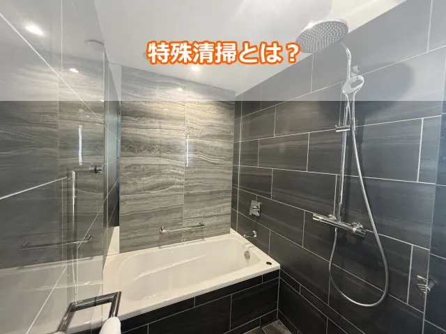 特殊清掃とは？