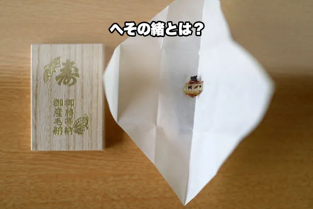 へその緒とは？