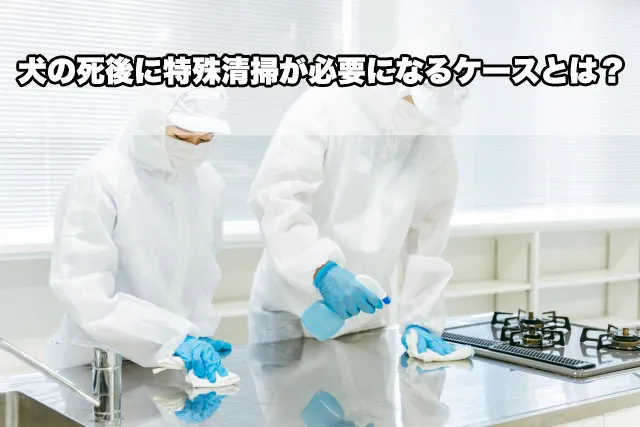犬の死後に特殊清掃が必要になるケースとは?