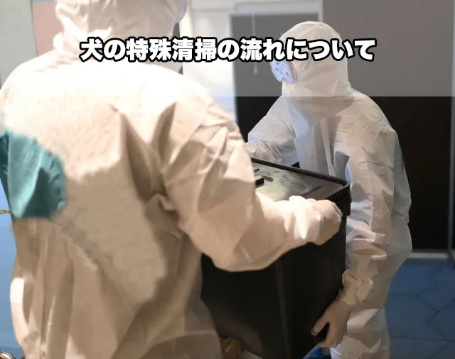 犬の特殊清掃の流れについて