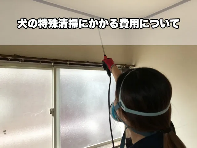 犬の特殊清掃にかかる費用