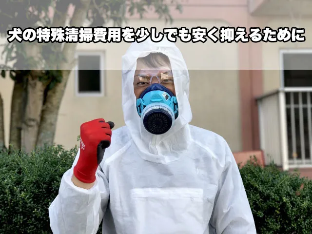 犬の特殊清掃費用を少しでも安く抑えるために