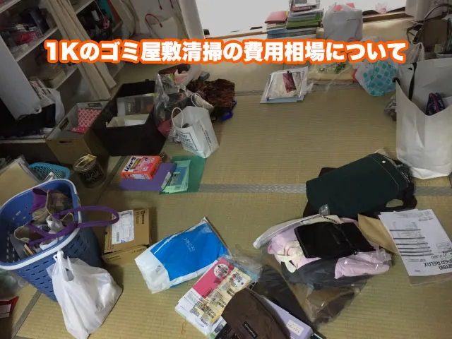 1Kのゴミ屋敷清掃の費用相場