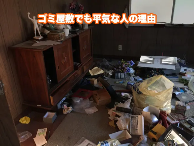 ゴミ屋敷でも平気な人の理由